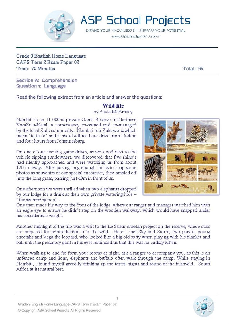 Grade 9 Exam Papers and Answers