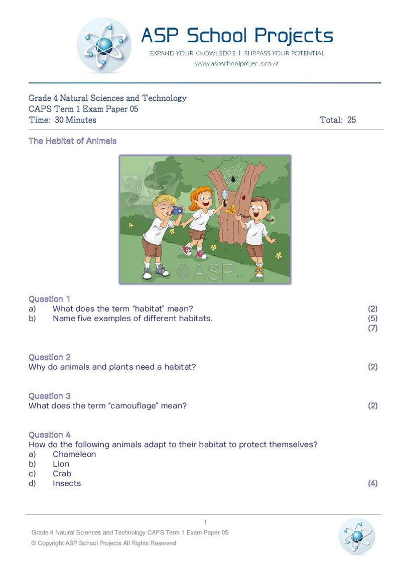 Grade 4 Exam Papers and Answers