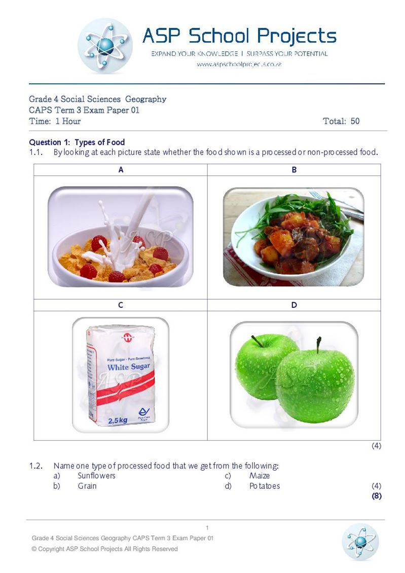 Grade 4 Exam Papers and Answers