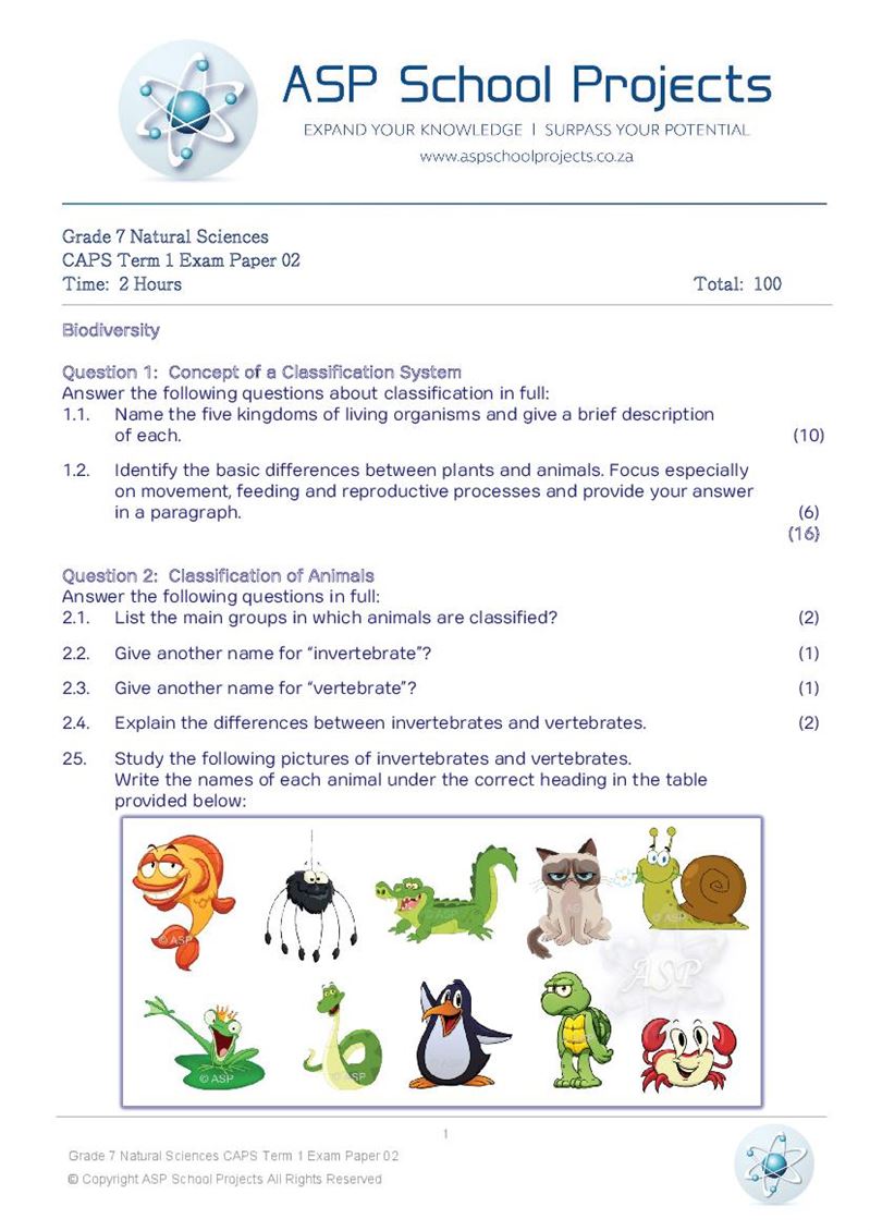 Grade 7 Exam Papers and Answers