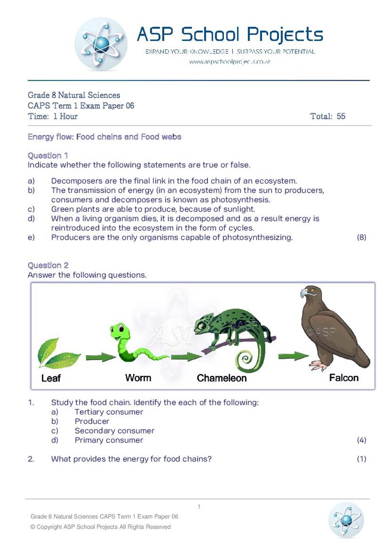 Grade 8 Exam Papers and Answers
